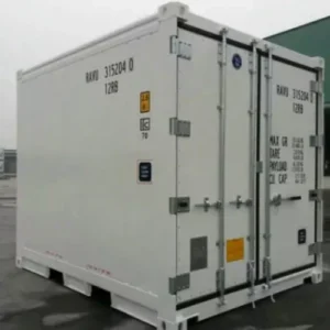 Contenedor refrigerado compacto de 3 metros (10 pies) con grupo de frío